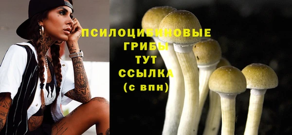 первитин Белоозёрский