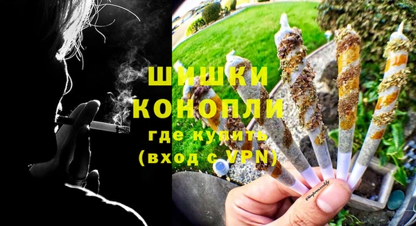 хмурый Белокуриха