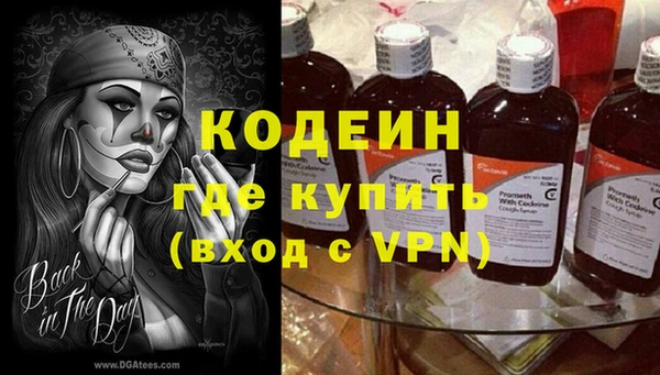 хмурый Белокуриха
