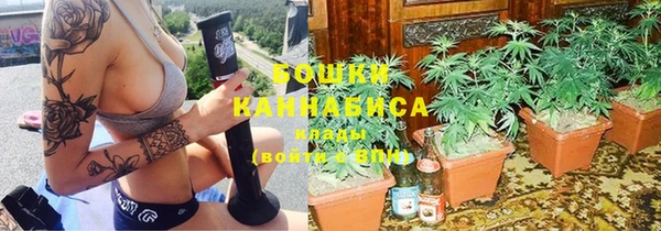 хмурый Белокуриха