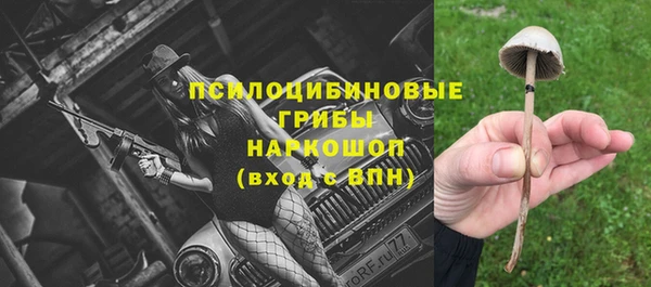 первитин Белоозёрский