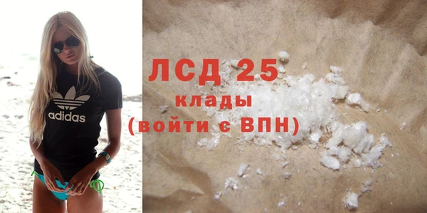 хмурый Белокуриха