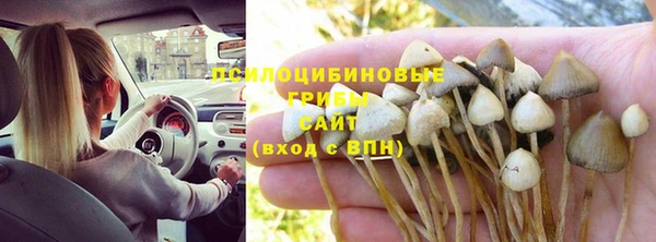 первитин Белоозёрский